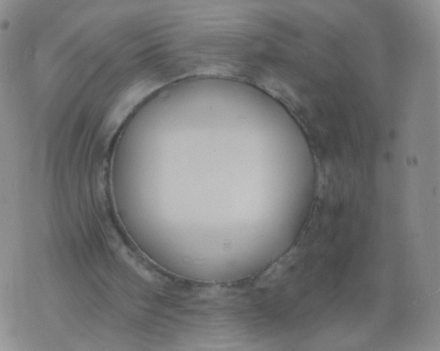 X0000073920098200609011819