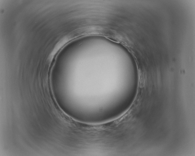 X0000073920099200609011819