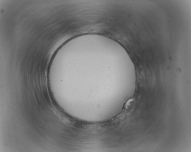 X0000073920100200609011819