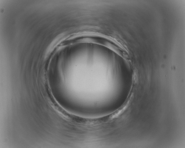 X0000073920101200609011819