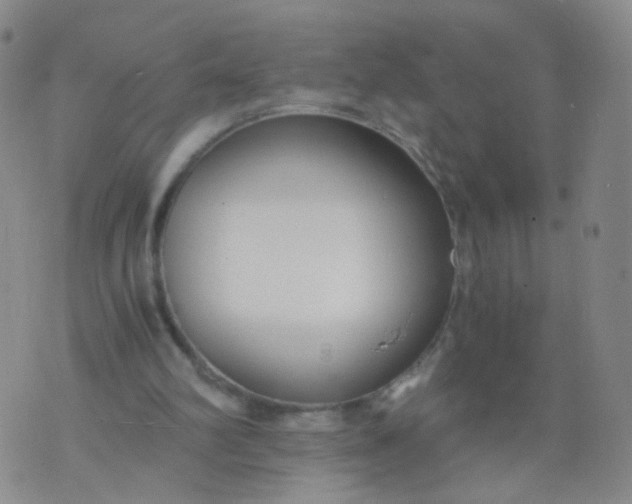 X0000073920102200609011819