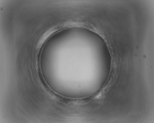 X0000073920103200609011819