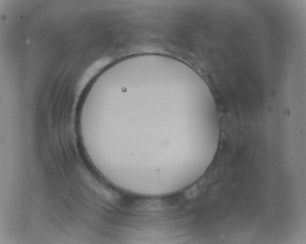 X0000073920104200609011819