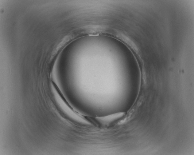 X0000073920105200609011819