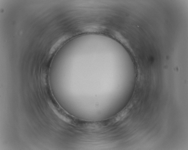 X0000073920106200609011819