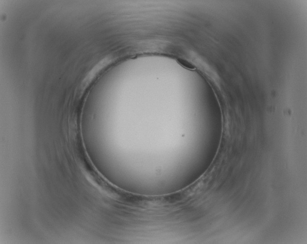 X0000073920107200609011819