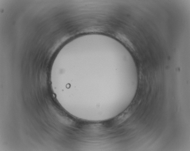 X0000073920108200609011819