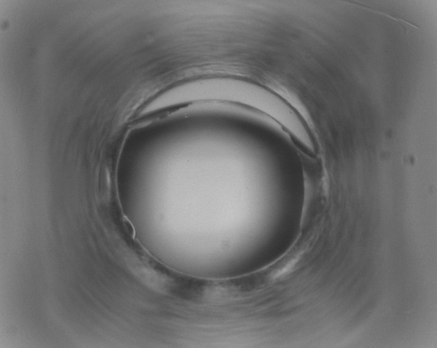 X0000073920109200609011819