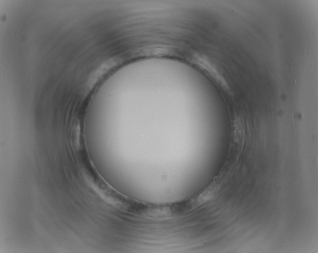 X0000073920110200609011819