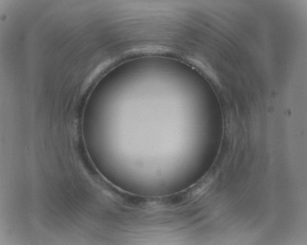 X0000073920111200609011819