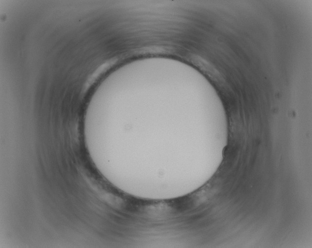 X0000073920112200609011819