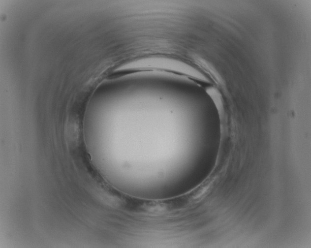 X0000073920113200609011819