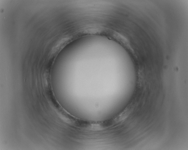 X0000073920114200609011819