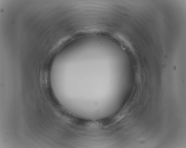 X0000073920115200609011819