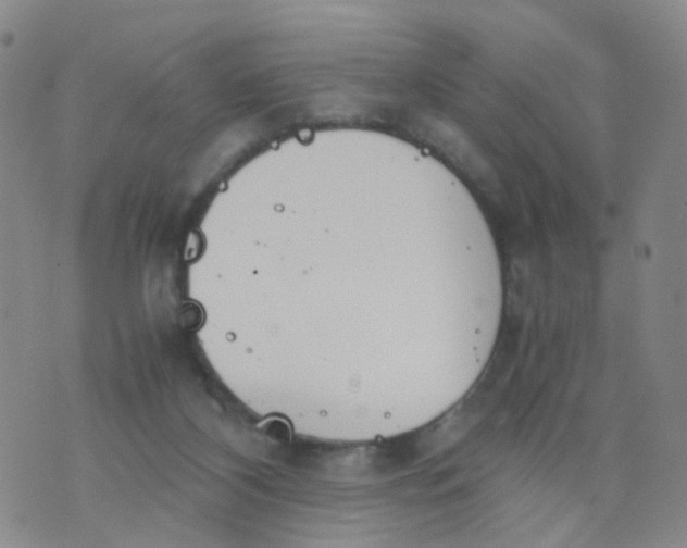 X0000073920116200609011819