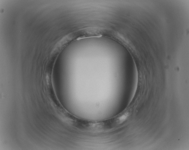 X0000073920117200609011819