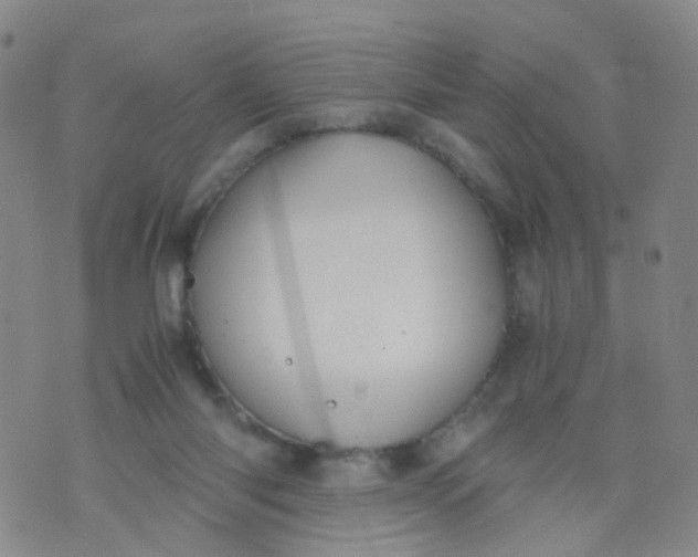 X0000073920118200609011819