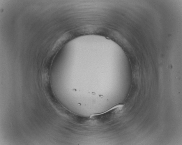 X0000073920119200609011819