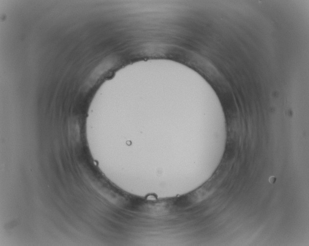 X0000073920120200609011819