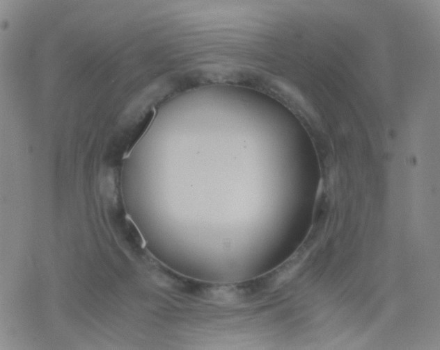 X0000073920121200609011819