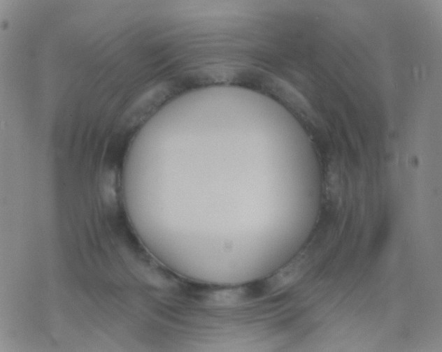 X0000073920122200609011819