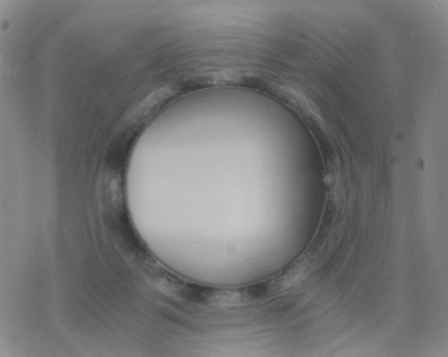 X0000073920123200609011819