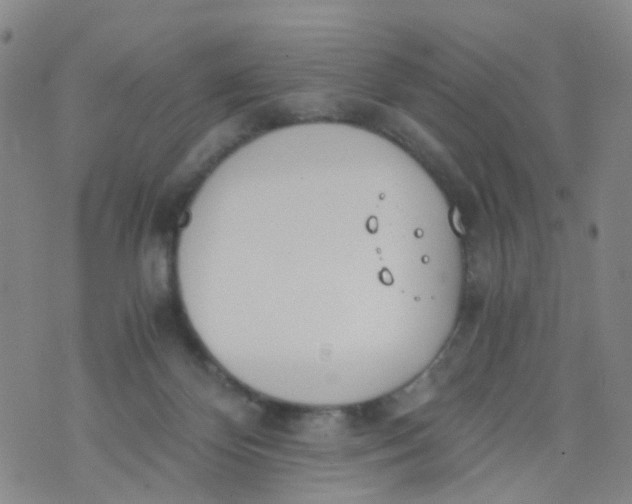 X0000073920124200609011819