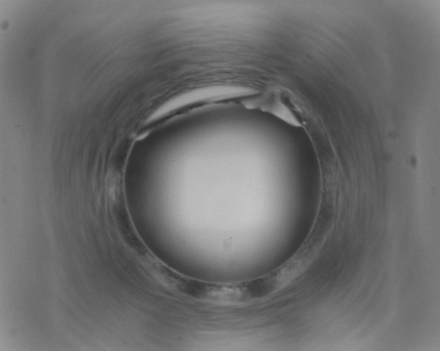 X0000073920125200609011819