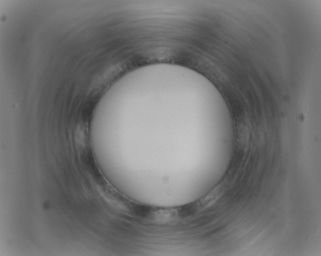 X0000073920126200609011819