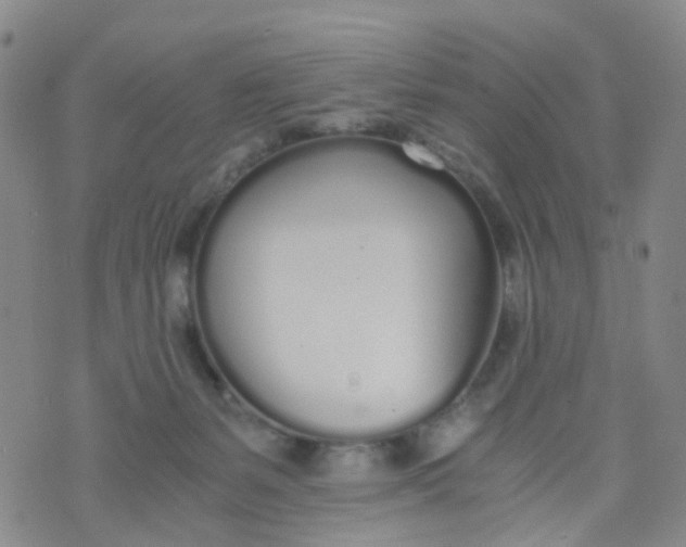 X0000073920127200609011819