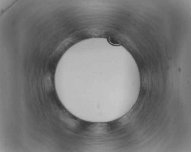 X0000073920128200609011819