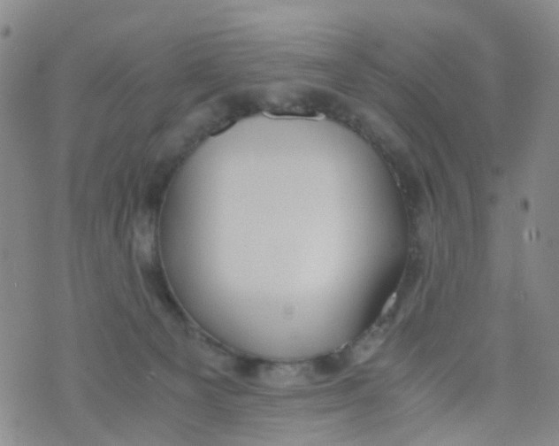 X0000073920129200609011819