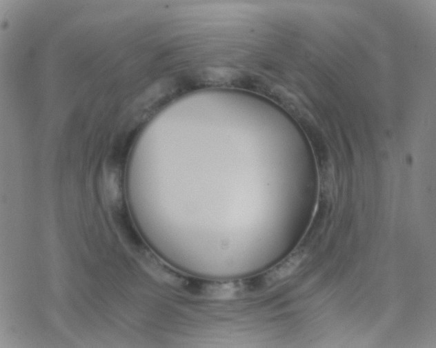 X0000073920131200609011819