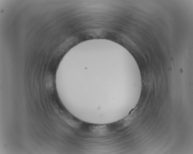 X0000073920132200609011819