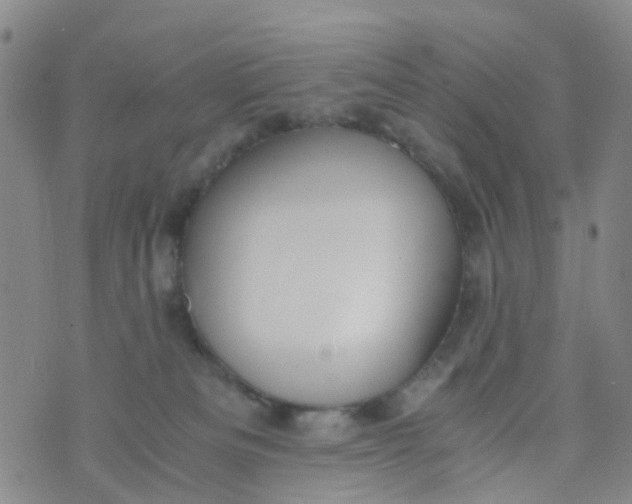 X0000073920133200609011819