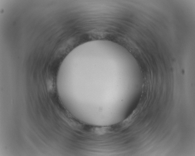 X0000073920134200609011819