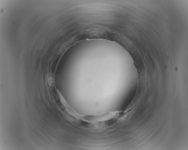 X0000073920137200609011819