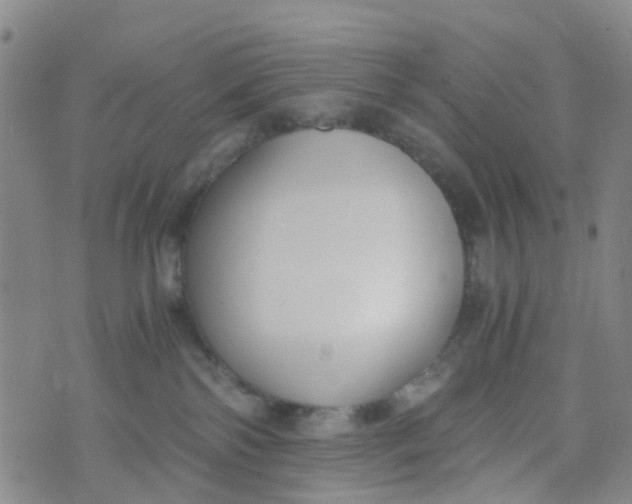 X0000073920138200609011819