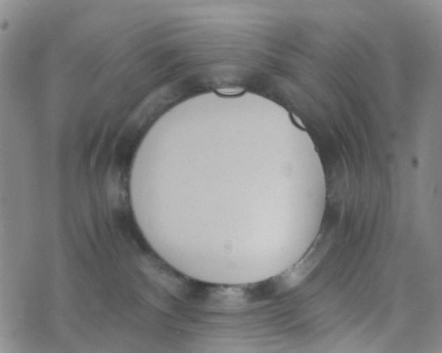 X0000073920140200609011819