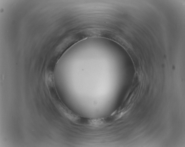 X0000073920141200609011818