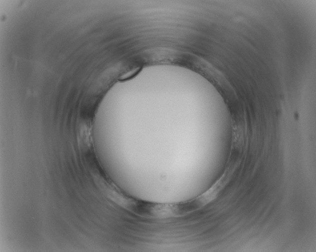 X0000073920142200609011818