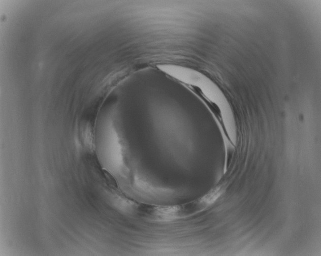 X0000073920143200609011818