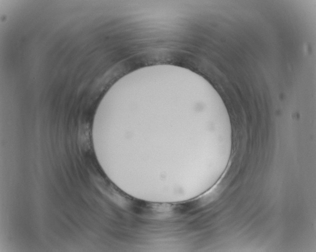 X0000073920144200609011818