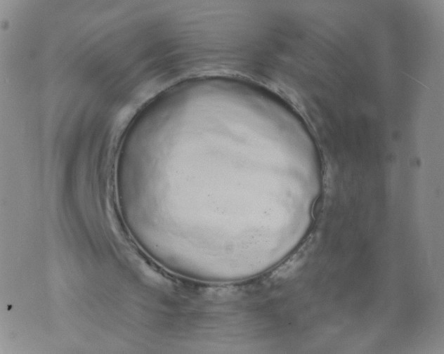 X0000073920145200609011818