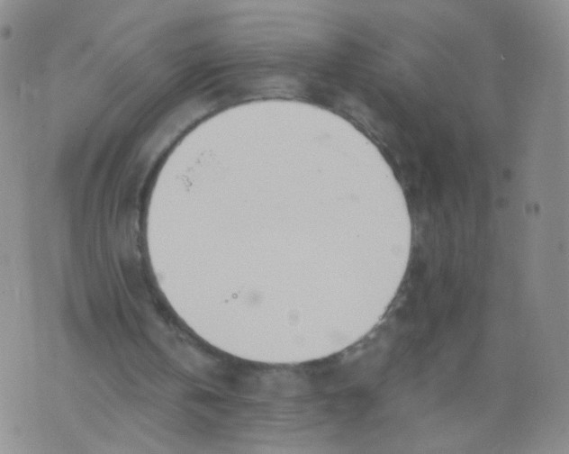 X0000073920146200609011818