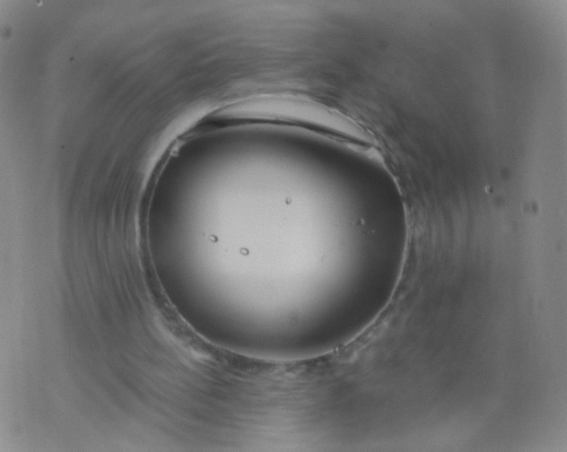 X0000073920148200609011818