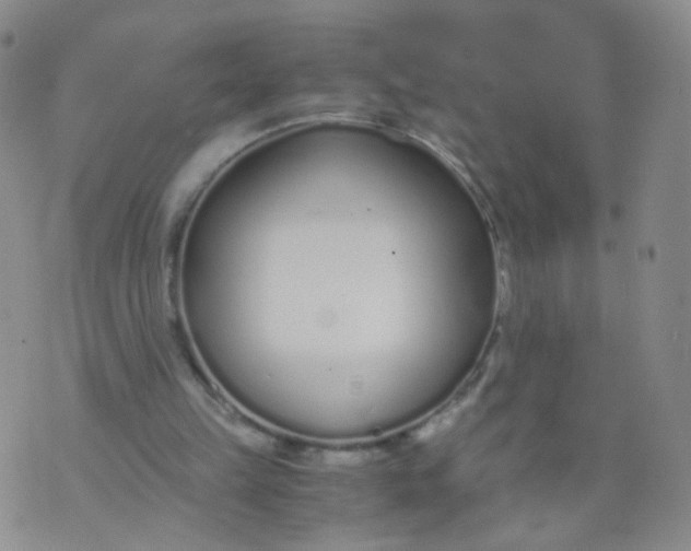 X0000073920149200609011818