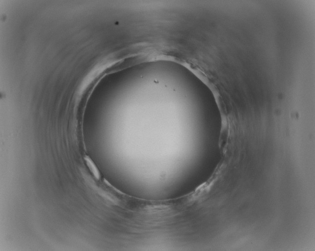 X0000073920150200609011818