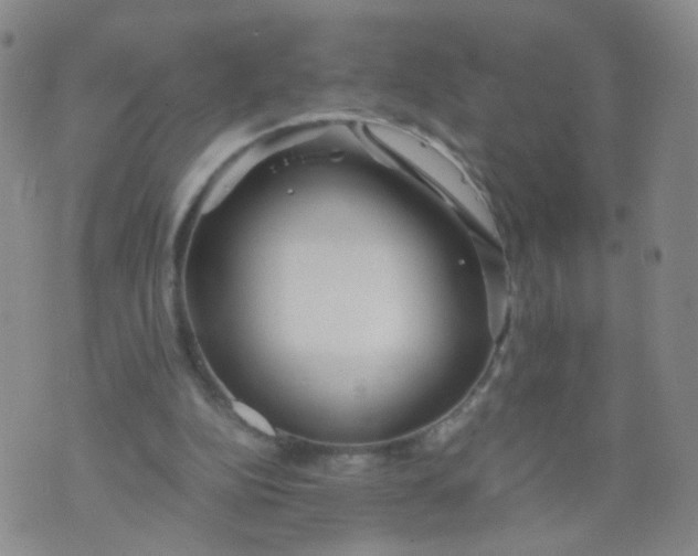 X0000073920152200609011818