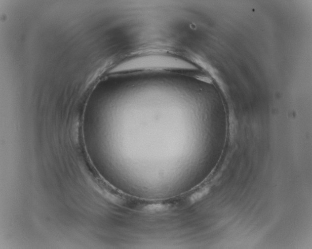 X0000073920153200609011818